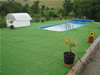 Tabara 2011